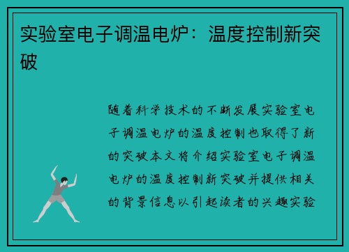 实验室电子调温电炉：温度控制新突破